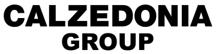 Codex Global - Multilingual Communication Redefined